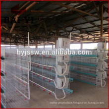 H Type Broiler Cage System